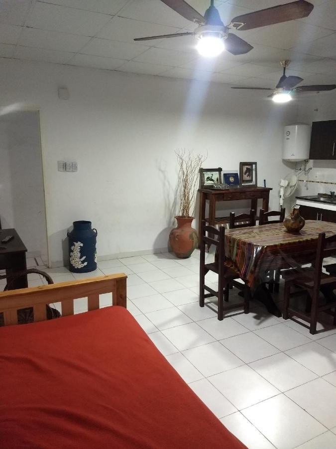 10 Avenida Apart "Nuez De La Isla Ii" Costantera A 3 Cuadras! Парана Экстерьер фото